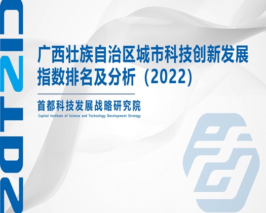 肏屄视频网址06096【成果发布】广西壮族自治区城市科技创新发展指数排名及分析（2022）